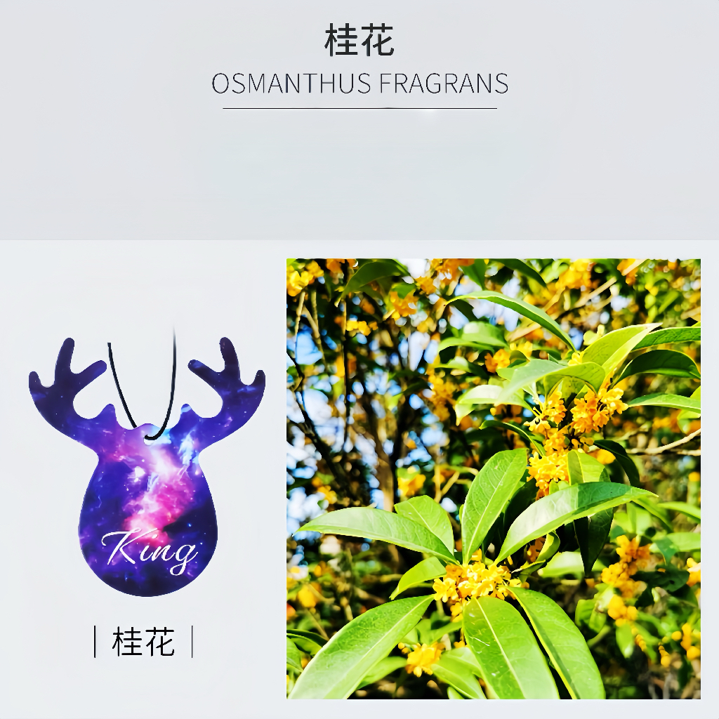 Osmanthus