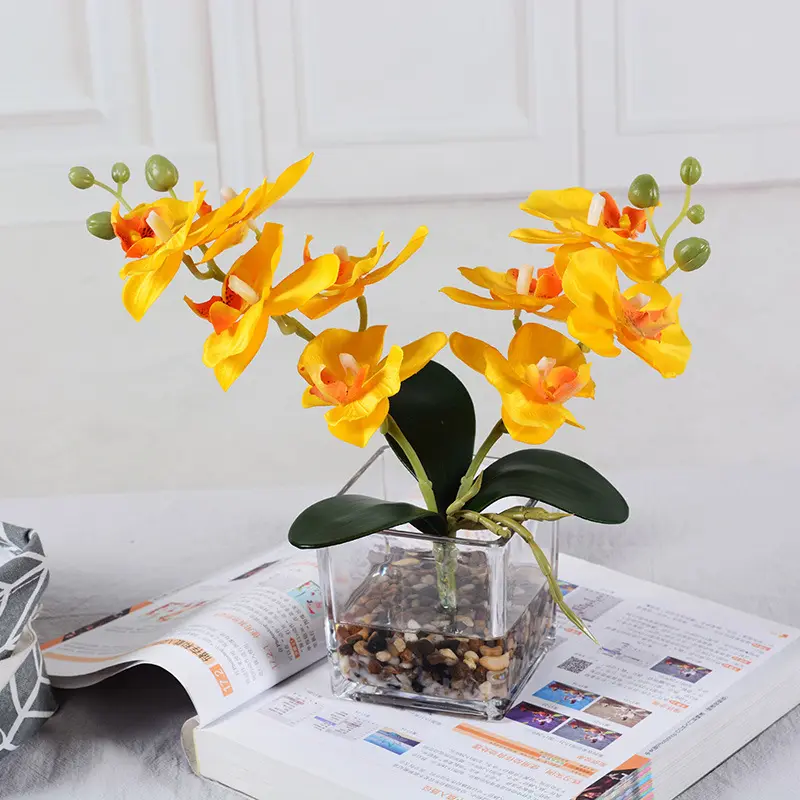 Evergreen-orquídea artificial para decoración de escritorio, bonsái con maceta de vidrio