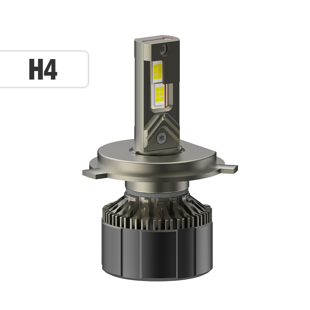 H4