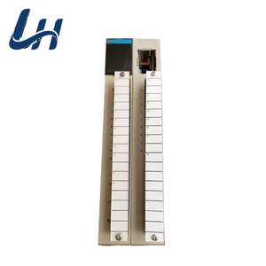 C500-OC224 programmier barer Logik-Controller mit einer Jahr-Garantie