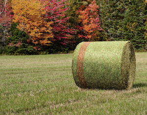 HDPE Anti-UV-Silage/Elastic Pallet Wrap Net Landwirtschaft liche Kunststoff produkte