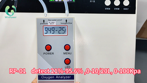 PSA oksijen yoğunlaştırıcı için RP-01 Winpower el ultrasonik oksijen analizörü saflık, akış ve basınç oksijen dedektörü tespit - Product Image 4