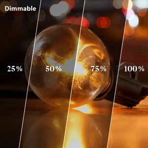 JESLED G40 Globe Replacement Light Bulbs <strong>LED</strong> Outdoor String Light 1w <strong>12V</strong> Christmas Bulb With C7 <strong>E12</strong> Candelabra Screw Base CE ETL - Product Image 3