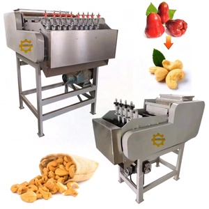 Full Automatic Cashew Nut Grading <strong>Sorting</strong> Boiling <strong>Shell</strong> Breaking Peeling Shelling Processing <strong>Machine</strong> - Product Image 1