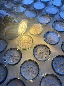 Nhà máy cung cấp đèn chiếu sáng <span class=keywords><strong>6W</strong></span> thay thế <span class=keywords><strong>50W</strong></span> <span class=keywords><strong>Halogen</strong></span> thông minh <span class=keywords><strong>GU10</strong></span> <span class=keywords><strong>LED</strong></span> Spotlight dẫn bóng đèn ánh sáng ban ngày 4000K với cơ thể thủy tinh - Product Image 4