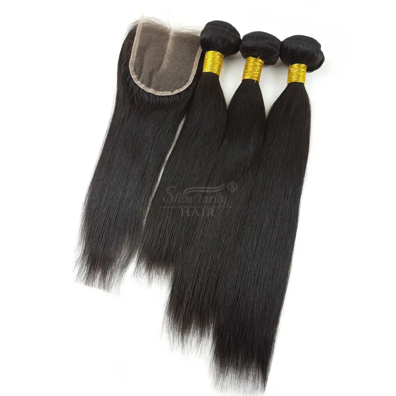 Fast Selling in South Africa straight virgin natural Malaysian hair Brazilian hair bundle with closure