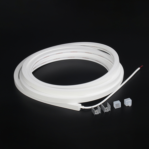 RAYMATES IP67防水100% 硅胶发光二极管条DMX512 RGBW户外装饰用挤出霓虹灯 - Product Image 5