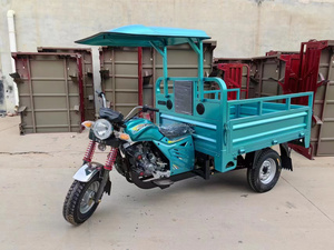 Mở-top ba bánh mở cơ thể cho hàng hóa người lớn ba-bánh xe xăng xe máy 200 CC 250 CC động cơ xăng-nhiên liệu cho bán - Product Image 4