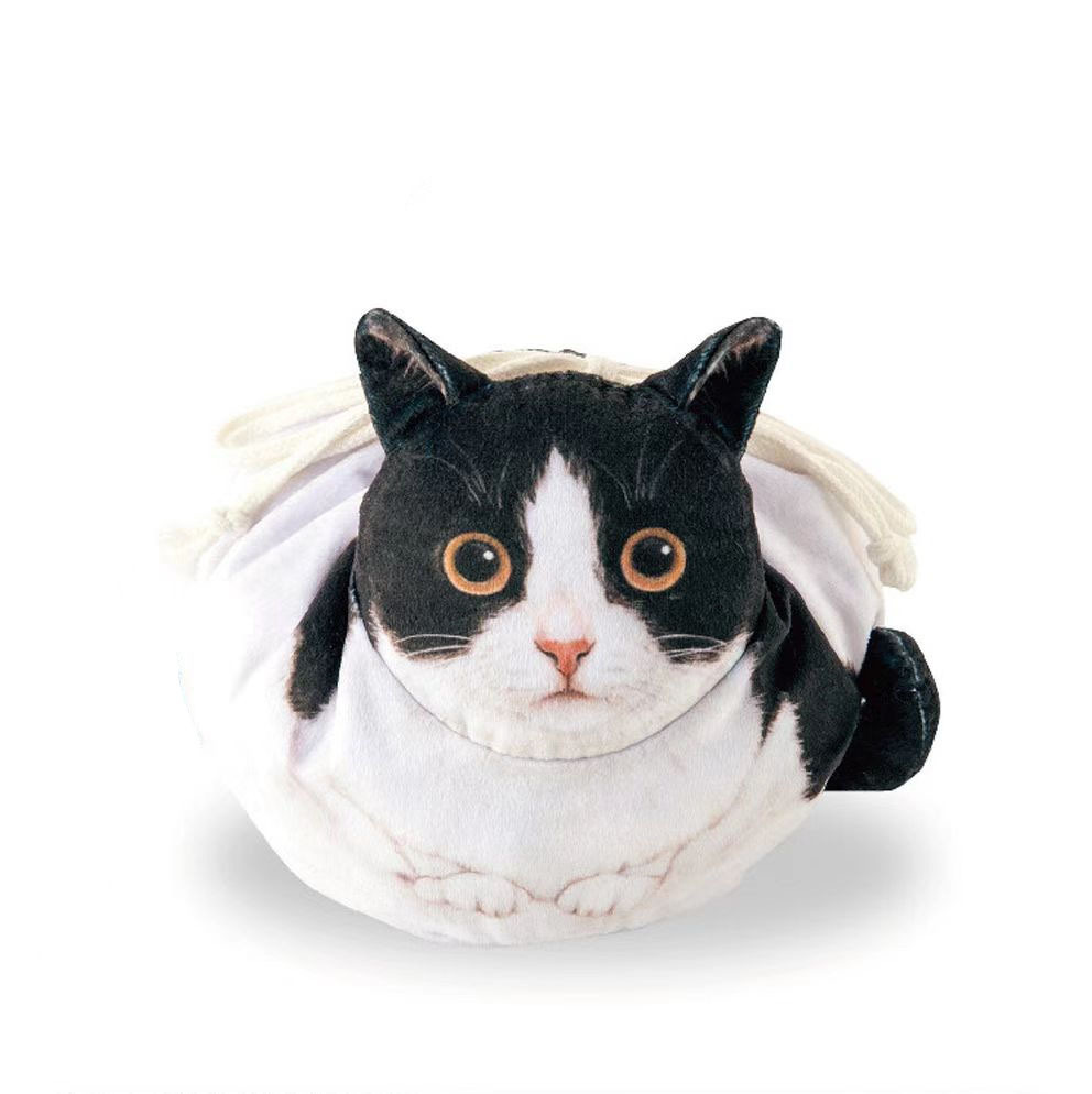 Chat noir et blanc