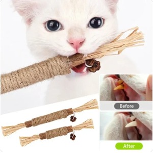 Natürliche Matatabi Pet Cat Snacks Sticks Reinigung Zahn Katzenminze Nip Chew Toy für Katzen Zubehör - Product Image 5