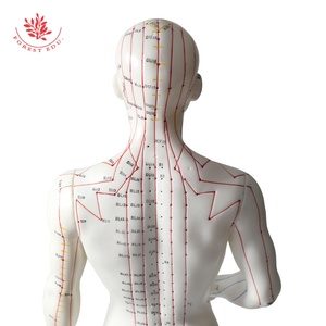 Akupunktur Männliches Modell Englischer <span class=keywords><strong>Code</strong></span> 50cm Menschliches Männliches Ganzkörper-Akupunktur punkt modell