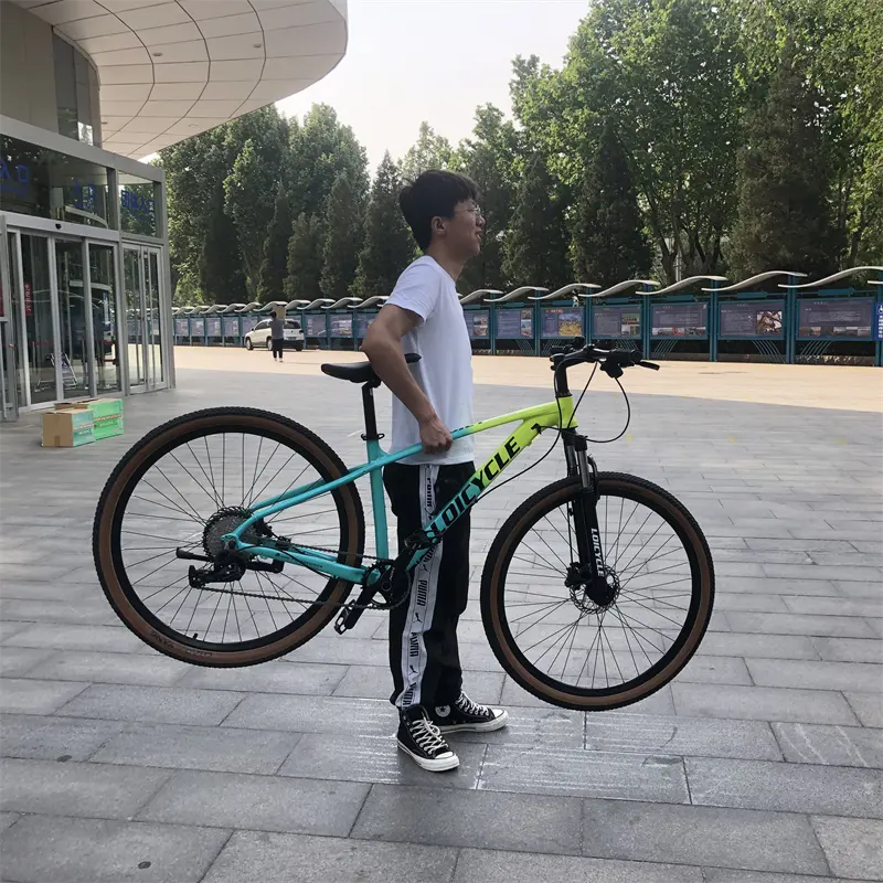Hina-Bicicleta de acero al carbono de 26 pulgadas, cicla de acero de carbono de alta calidad, 6 cuchillas
