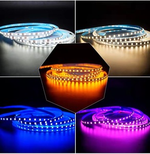 Yüksek parlaklık 2835 RGB LED şerit ışık su geçirmez IP65 IP65/M 5M Outdoor açık LED şerit ışık 12V/24V giriş PCB vücut - Product Image 2