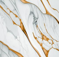 Dorado