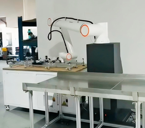 Factory 6 Axis Cobot Depalletizer 20KG 1854mm Collaborative-robots Cardboard Depalletizing Conveyor - Product Image 6