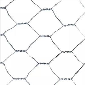 Verzinktes beschichtetes Edelstahl-Draht geflecht Sechseckiges perforiertes holländisches, geschweißtes Netz für Bau zwecke - Product Image 2