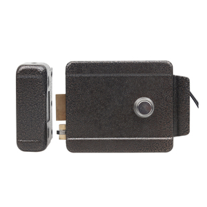 Yüksek kaliteli elektronik dış kapı kilidi DC12V erişim giriş güvenlik sistemi elektrik kontrol jant kapı kilidi - Product Image 1