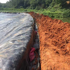Yüksek kaliteli en popüler hızlı teslimat hdpe geomembran 1mm - Product Image 3