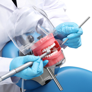 Dental Teaching Head Model <strong>Fix</strong> on Chair with Lifelike Typodont <strong>Tooth</strong> Model - Product Image 3
