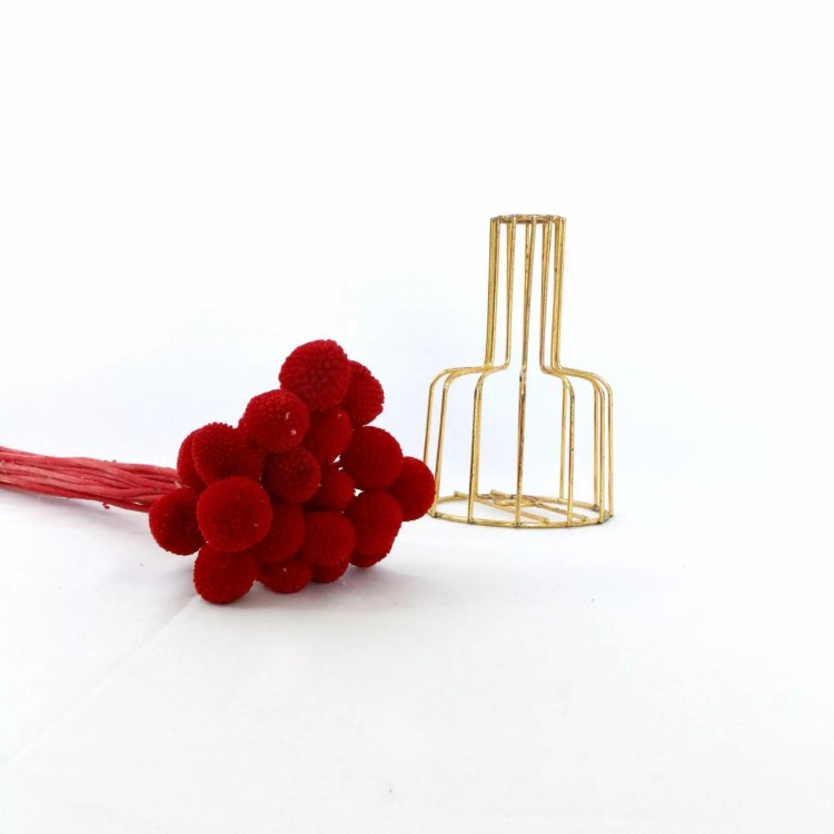 Rouge
