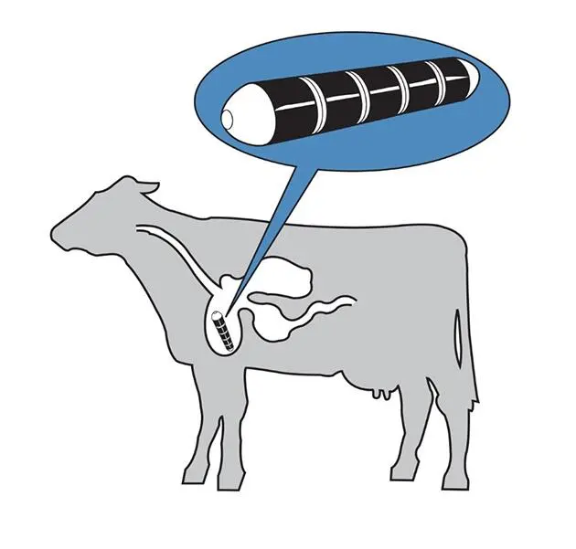 2024 a buon mercato fornitura di fabbrica su misura di alta qualità Ferrite vacca rumine Alinico magnete mucca con bordo rotondo di protezione