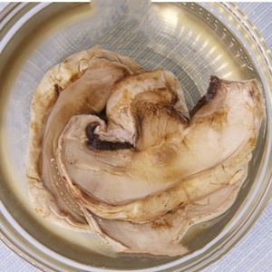 Nấm trắng Agaricus bisporus D015 gan kou mo toàn Bộ Nấm lát nấm khô - Product Image 4