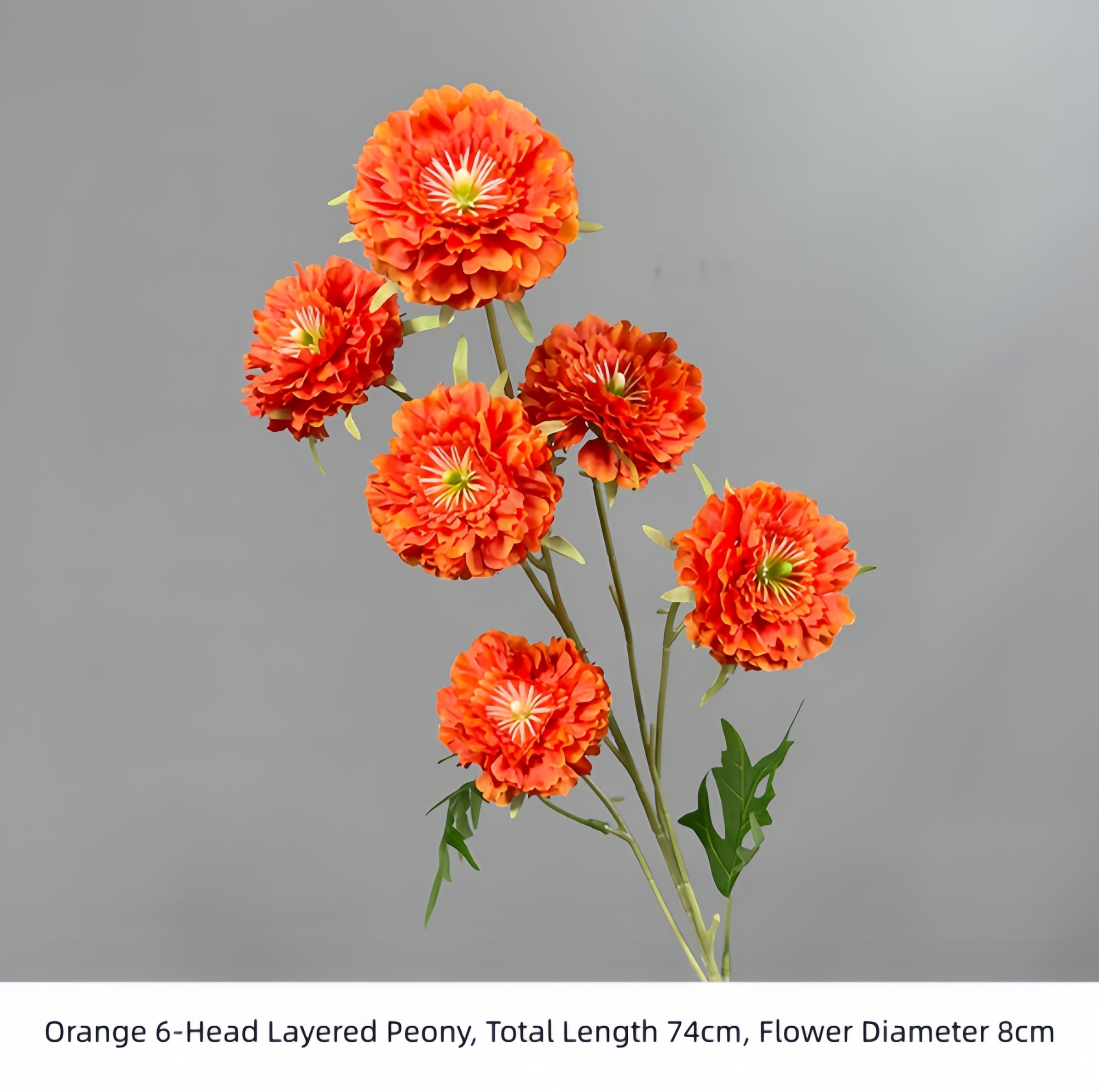 Pivoine orange à 6 têtes