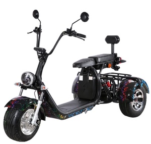 High Quality E Adult Electric Motorcycle <strong>Scooter</strong> Cictycoco 3 Wheel Conversion Kit Fast Halley Citycoco 4000 <strong>w</strong> Accessories Parts - Product Image 1