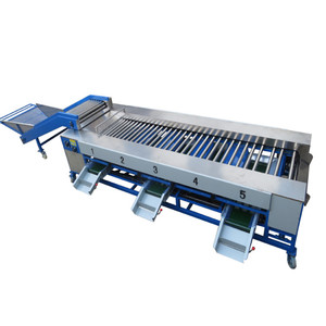 Máquina de Clasificación Industrial de frutas y verduras, clasificador de fruta y patata, máquina de clasificación de cebolla y Kiwi - Product Image 4