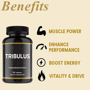 OEM الأكثر مبيعًا تريبولوس تيريستريس استخراج كبسولات تريبولوس تيريستريس ملحق 60 قبعات - Product Image 3