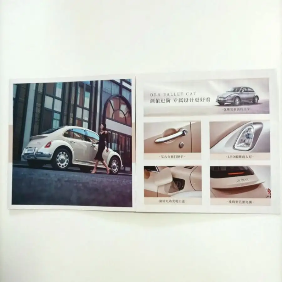 Buona qualità Oem nuovo Design A4 Brochure stampa a colori catalogo volantino piegato stampa volantino A5