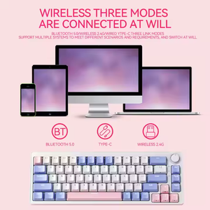 65% Mini teclado RGB 68 teclas intercambiables en caliente 2,4 Ghz con cable Doubleshot Keycaps Gaming Teclado mecánico para computadora - Product Image 6