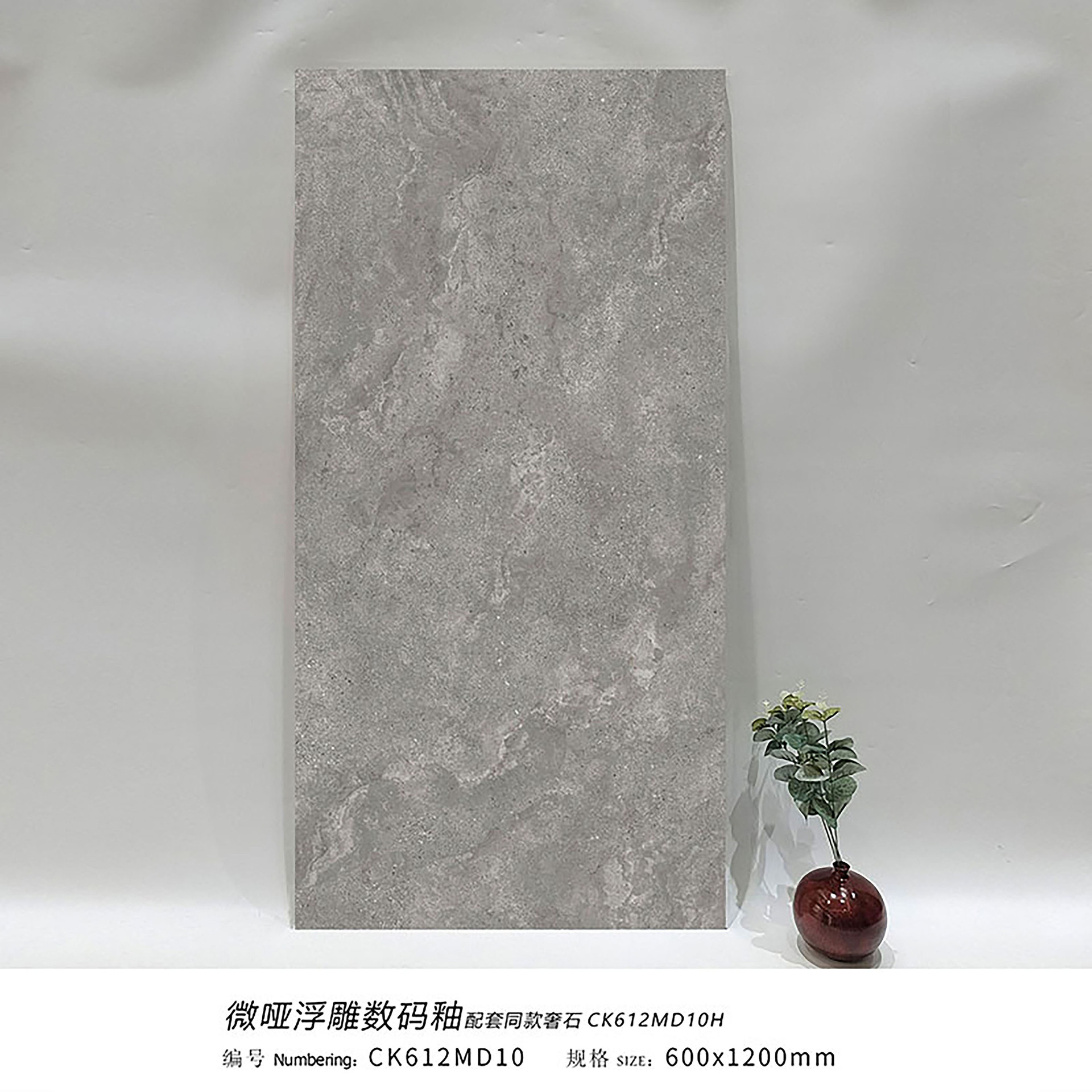 Pologne spécial gris foncé ck612md10 - 600x1200mm
