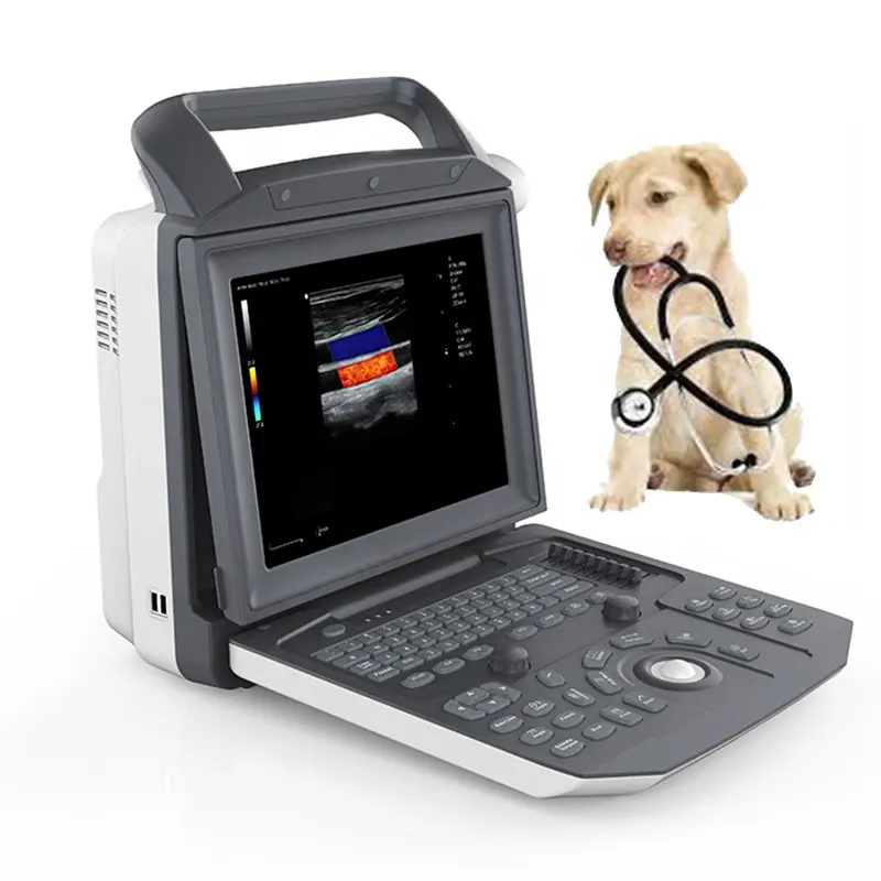 Machine médicale à ultrasons à échocardiographie multisonde entièrement numérique du fabricant réel pour les humains ou les vétérinaires