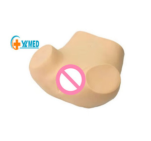 Advanced Gynecological Examination Training Simulator Uterine <strong>Palpation</strong> Examination Medical Science Model for Teaching - Product Image 1