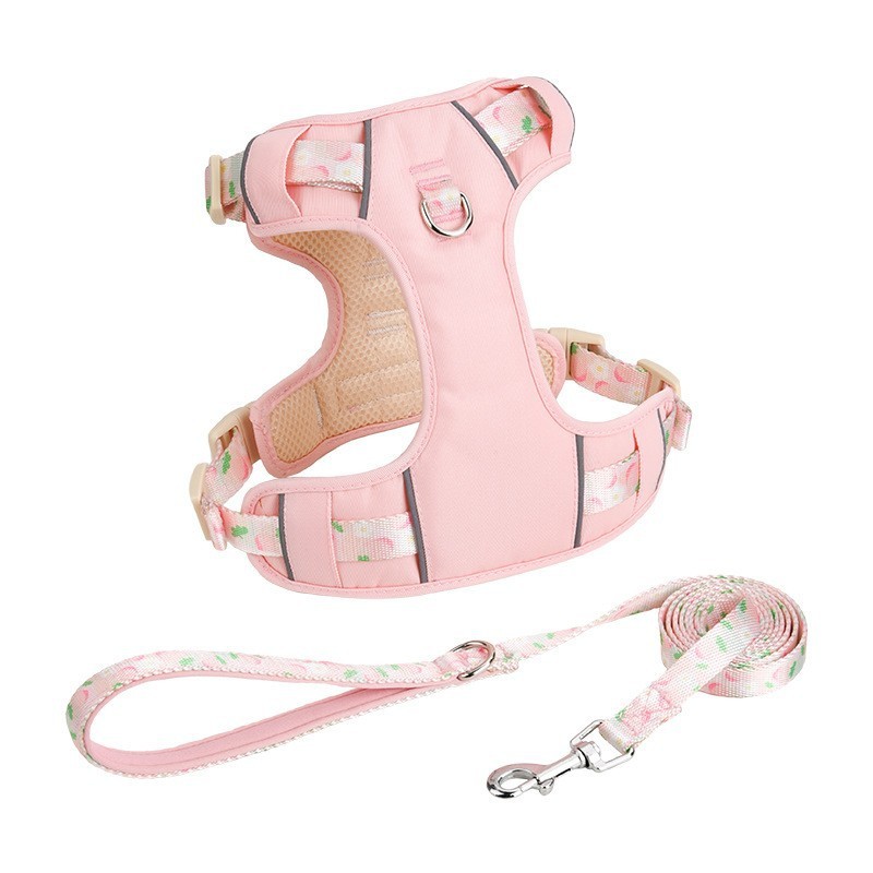 pink harness leash