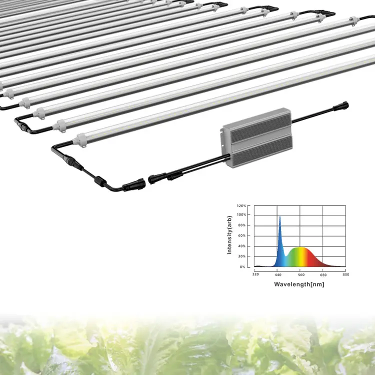 1135W العمودي مزرعة عينات مجانية T8 أنبوب كامل الطيف 0-10V يعتم أوراق النبات الخضراء الأنسجة الثقافة مصباح الزراعة المائية led