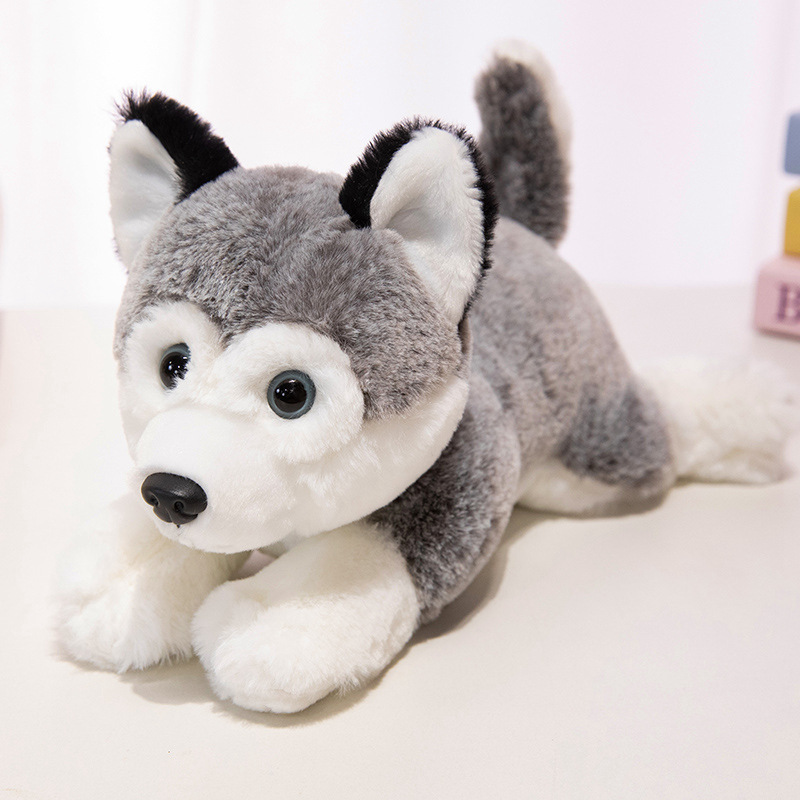 Husky en position couchée, 30 cm