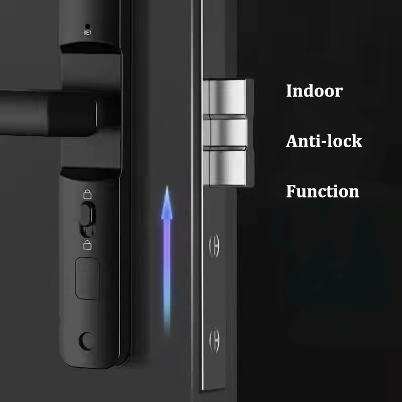 Doubwin Competitive Price S617 intelligent Waterproof Door Lock TTlock Smart Wifi Fingerprint Password Card Door Lock for Home