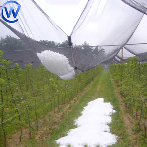 Polypropylen Sonnenschutz Hagel Netz Landwirtschaft Kunststoff Anti Hagel Schutz Netz Jemen Anti Hagel Netz für Apfel Trauben baum