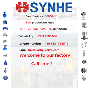 SYNHE Factory High Temperature Steam Hot Oil Cast Steel <strong>Flange</strong> Bellows DN25 40 50 80 Heavy <strong>Type</strong> <strong>Globe</strong> <strong>Valve</strong> Shutoff <strong>Valves</strong>"