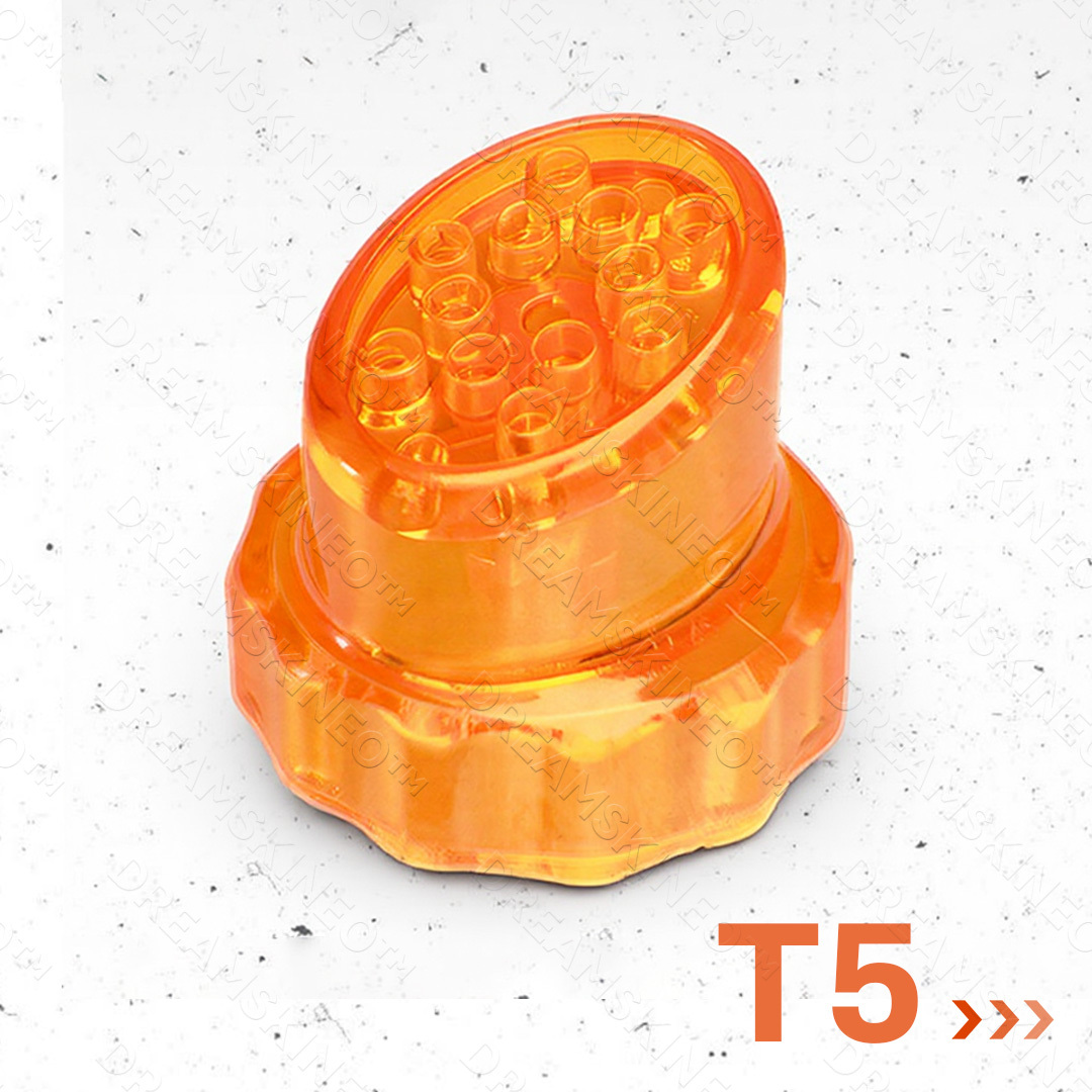 T5