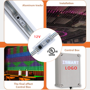 Pixel impermeabile esterno LED luce di controllo per la costruzione del paesaggio luci di natale in PVC Smart Luces De Navidad permanente - Product Image 3