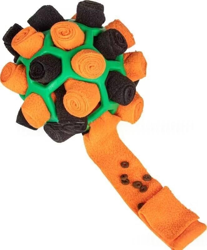 Black and Orange