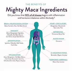 Doğal sağlık <span class=keywords><strong>Maca</strong></span> kök ekstresi kapsül bitkisel takviyeleri daha iyi olmak için - Product Image 3