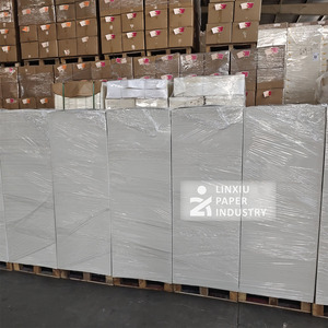 Kağıt bardak hammadde kağıt bardak tek Pe kaplamalı kağıt fincan levha - Product Image 4