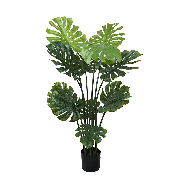 Verde-TZL2503028