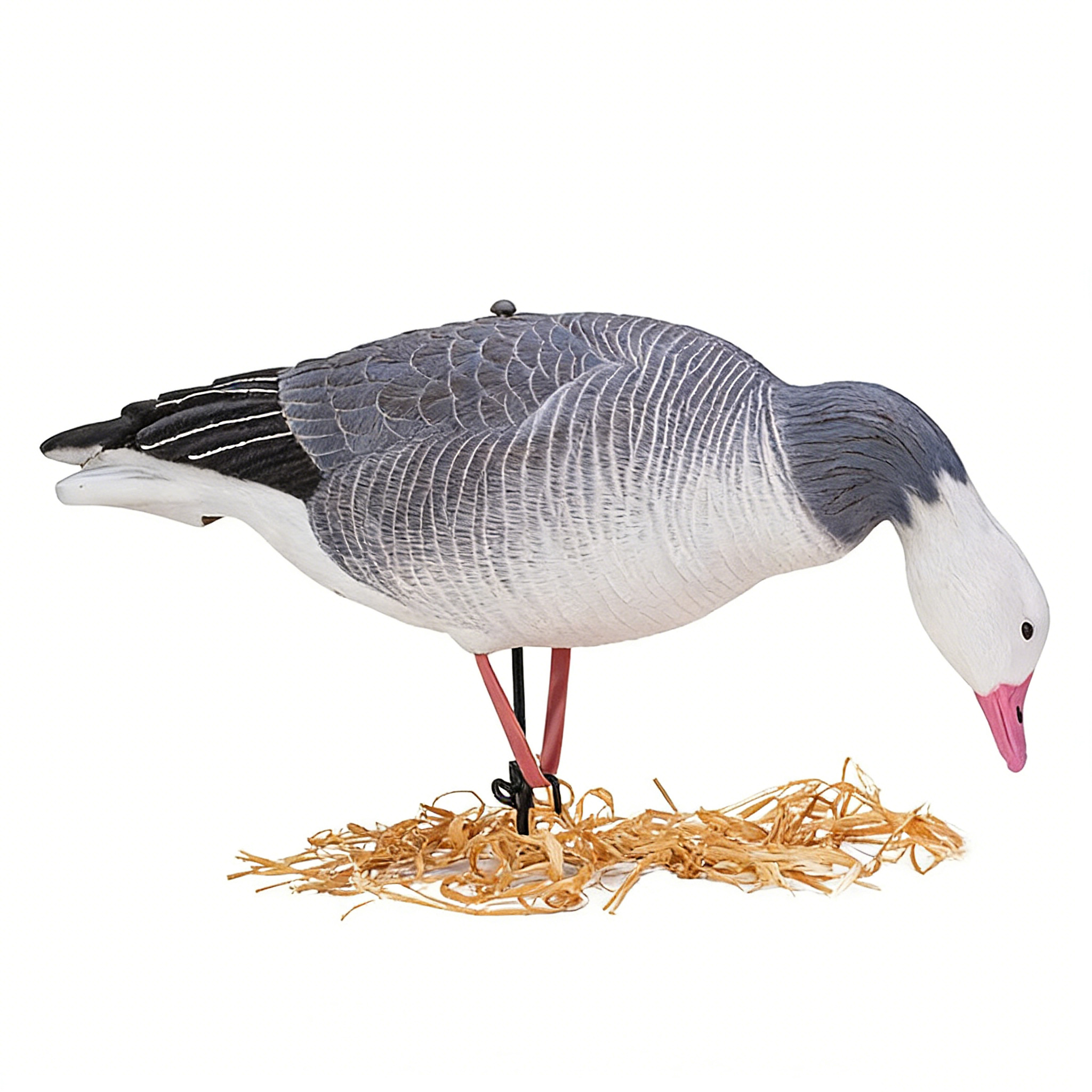 Feed Model+Ground Stake+Metal Hook+Rubber Belt