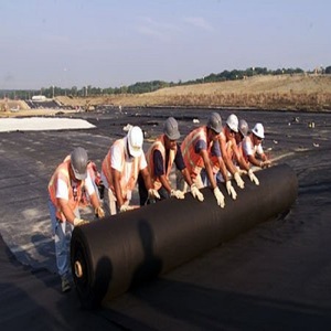 HDPE plastik membran kaplama 1mm baraj astar 1.5mm HDPE geomembran 2mm gölet Liner fiyat madencilik projesi için - Product Image 3