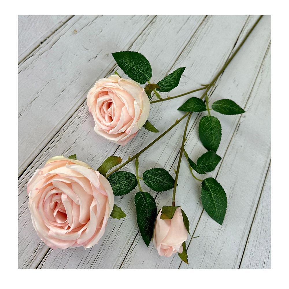3 teste di rosa fiore rosa chiaro